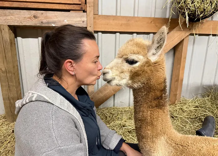 Jokiranta 빌라 Eurajoki